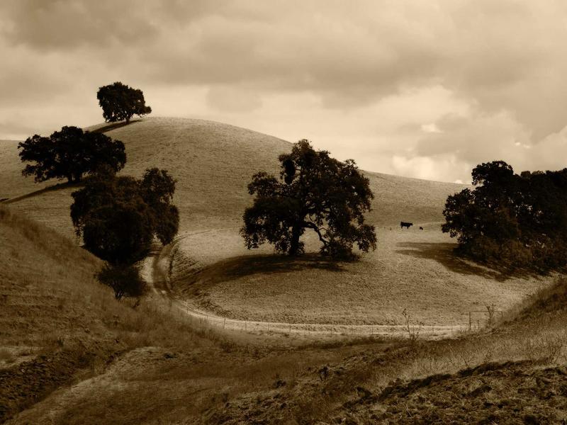 sudoku number placement screenshot 1